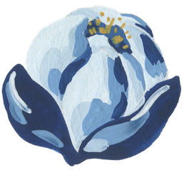 Gentle watercolor flower